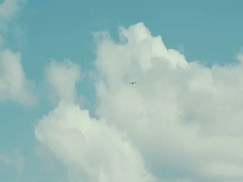 Sea bird soaring through blue cloudy sky Video stock 71671475