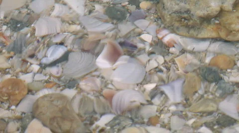 Sea bottom background Stock-Footage 755127