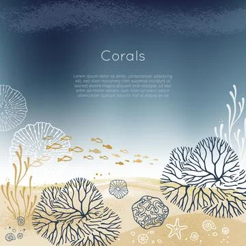 Sea bottom background with place for text. Design with lettering and a place for Stock Illustration