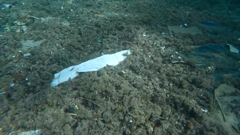 Sea bottom is covered with plastic and other debris mixed with dead algae, Stock Footage 255112697