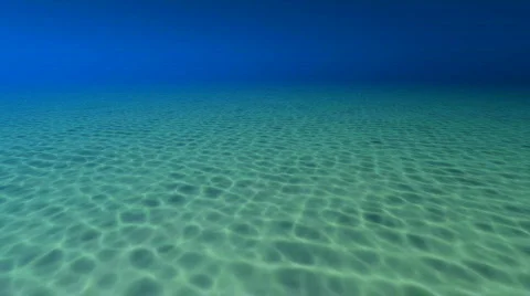 Sea Bottom Fly Over Video stock 830217