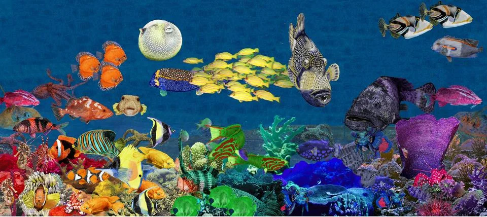 Sea bottom Stock Illustration