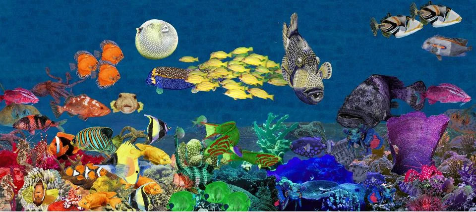 Sea bottom Illustrazione stock
