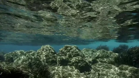The sea bottom in the mirror Stock Footage 81813926
