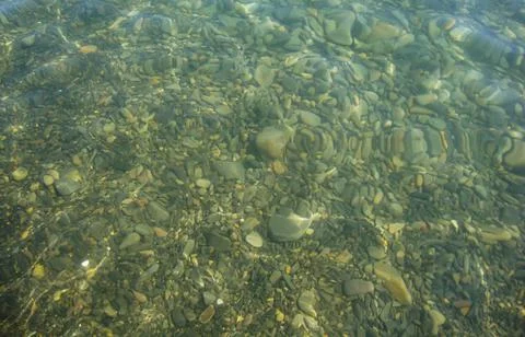 Sea ​​bottom Foto stock