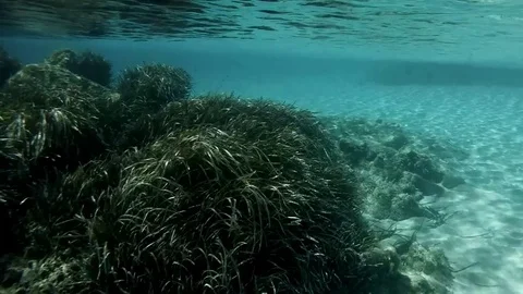 The sea bottom reflected on the sea surface Stock Footage 81813916