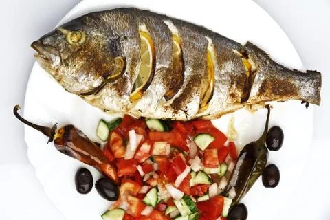 Sea bream fish Stock Photos