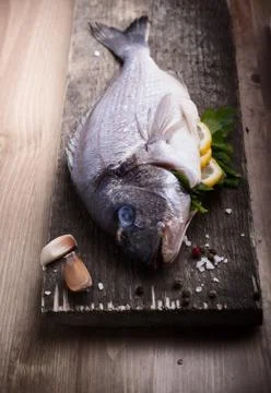 Sea Bream fish Stock Photos