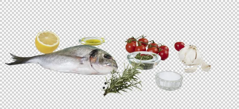 A sea bream Stock Illustration