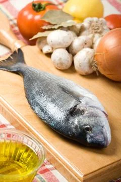 Sea bream Stock Photos