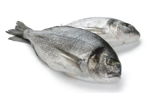 Sea Bream Stock Photos