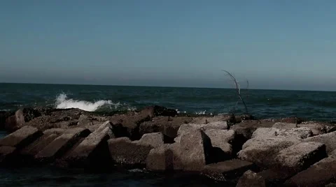 Sea bream in the sea Video stock 67648392