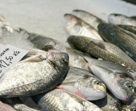 Sea breams Stock Photos