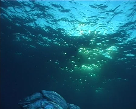 Sea bubbles (D189) Video stock 150510