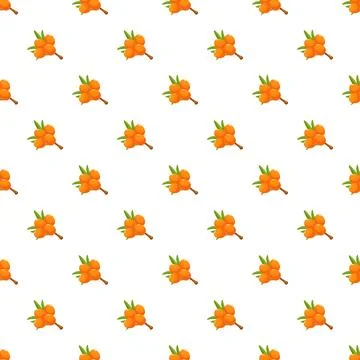Sea buckthorn berries seamless pattern on white background Stock Illustration