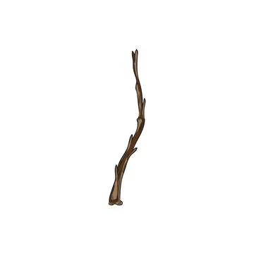 Sea buckthorn empty tree branch, agricultural or wild leafless twig plant Stock Illustration
