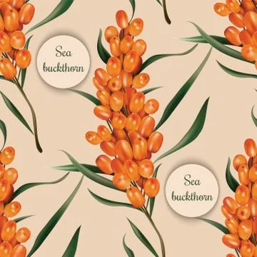 Sea buckthorn seamless pattern Stock Illustration