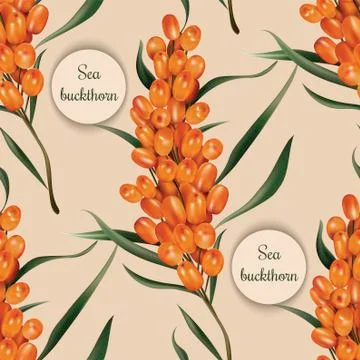 Sea buckthorn seamless pattern Stock Illustration