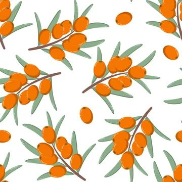 Sea buckthorn seamless pattern, vector illustration. Illustrazione stock