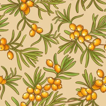 Sea buckthorn vector pattern Stock Illustration