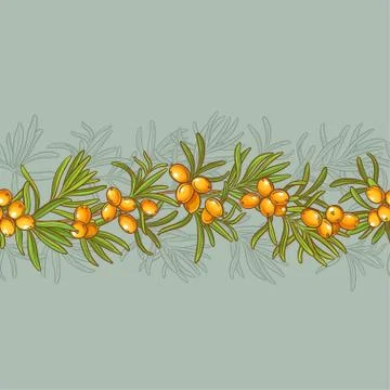 Sea buckthorn vector pattern イラスト素材