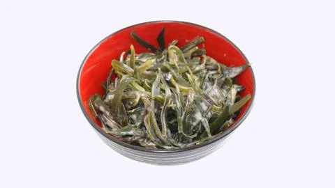 Sea cabbage Stock Photos