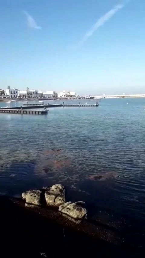 The sea is calm Stock Footage 151319888