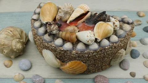 Sea casket and shells Stock Footage 87202849