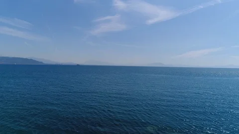 Sea cetara Video stock 128450922