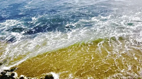 The sea of Ceylon 库存影片 248636441