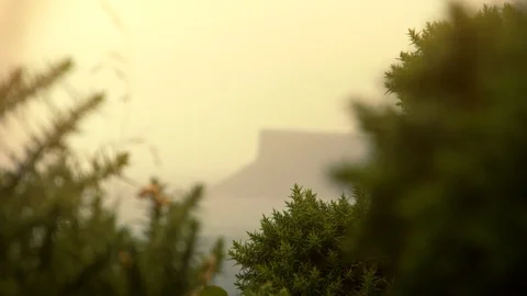 Sea Cliff Evening Light Rack Focus Shot Causeway Coast Northern Ireland 스톡 동영상 98808757
