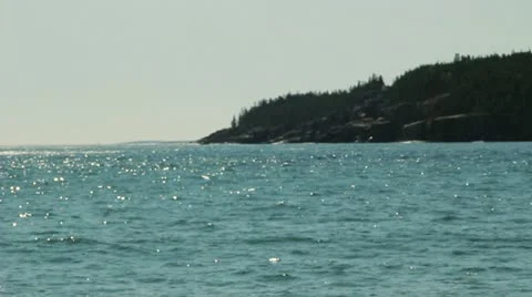 Sea Cliff Video stock 11060763