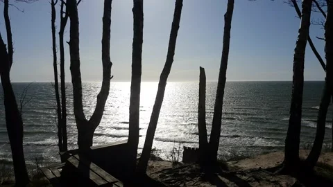 The sea from the cliff Stock Footage 166581685