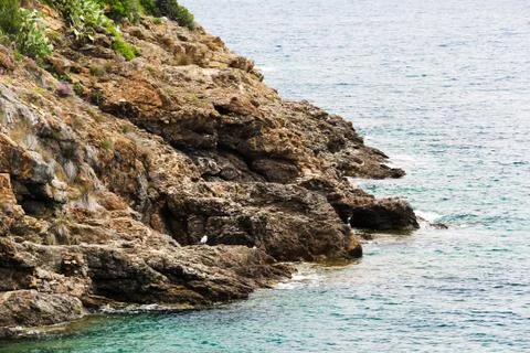 Sea Cliff Stock Photos