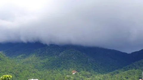 Sea of cloud on top of the mountain video stock footage. Stock Footage 202247026