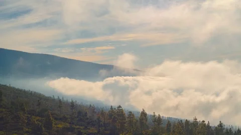 Sea of Clouds Drifting Over Pine Forest and Mountains Tenerife 4K Timelapse 動画素材 334396231