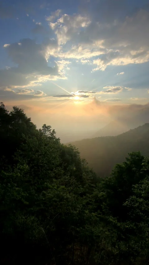 Sea of Clouds, Flowing Clouds, Sunrise, and Fresh Green Forest Stockbeeldmateriaal 330155264