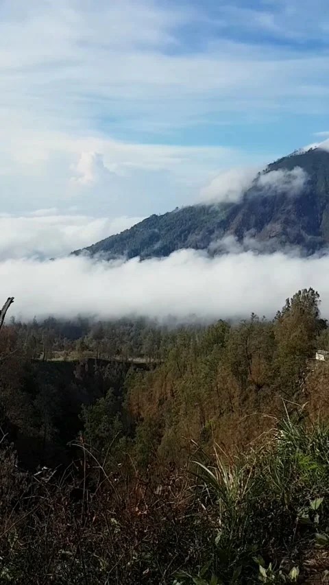 Sea ​​of ​​clouds Stock Footage 169672798