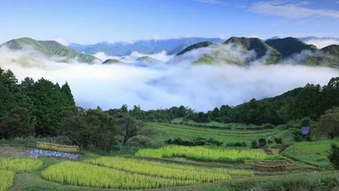 Sea of Clouds in the Misty Highlands Stock Footage 332008579