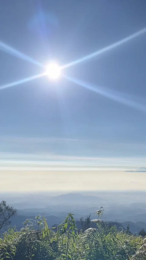 Sea of ​​Clouds on the Mountain Stock Footage 340127206