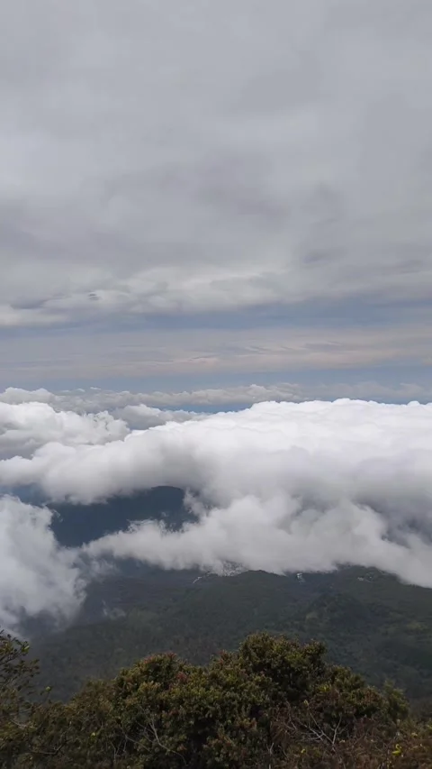 Sea of ​​Clouds in the Mountains 库存影片 333496700