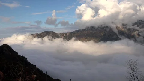 Sea of clouds over mountain valley at sunrise with fog, mist, forests, hills Vídeos de archivo 333709389