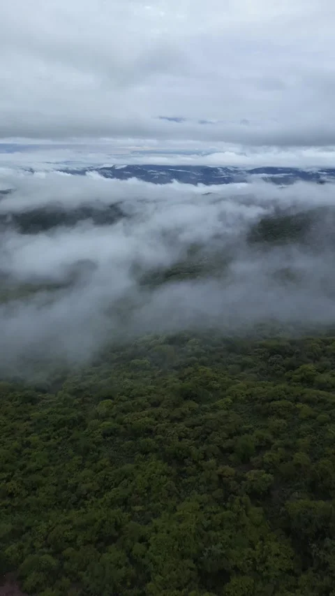 Sea of clouds over mountain valleys at dawn, aerial drone view, Acapulco Stock Footage 348301612