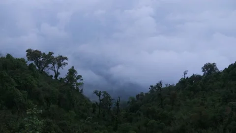 Sea of clouds over the mountains and forest, in Darjeeling, India Stock Footage 194444592