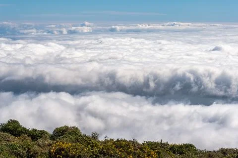Sea of clouds over the ocean between the Canary Islands from La Palma, Foto stock