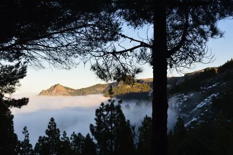 Sea of ​​clouds Stock-Fotos