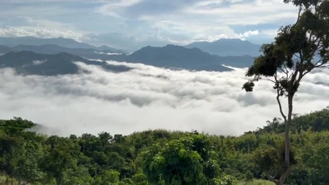 Sea of Clouds Still Video stock 196644713