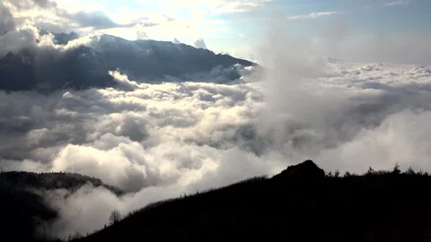 Sea of clouds surrounds a rugged rocky mountain above conifer forest and sunlit Stock Footage 339338935