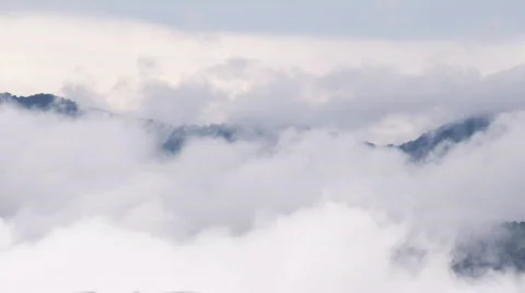 Sea of clouds in tropical forest Stock Footage