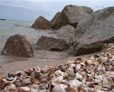 Sea coast Stock Footage 296521